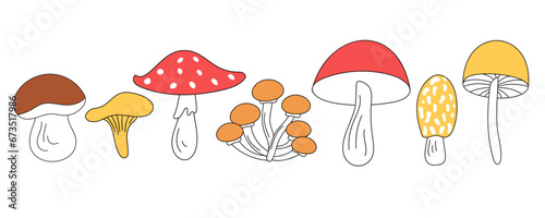 Porcini mushroom, chanterelle, honey fungus, fly agaric, edible and inedible mushrooms for various autumn and culinary designs. Set of cute mushrooms in vector doodle style, isolated.