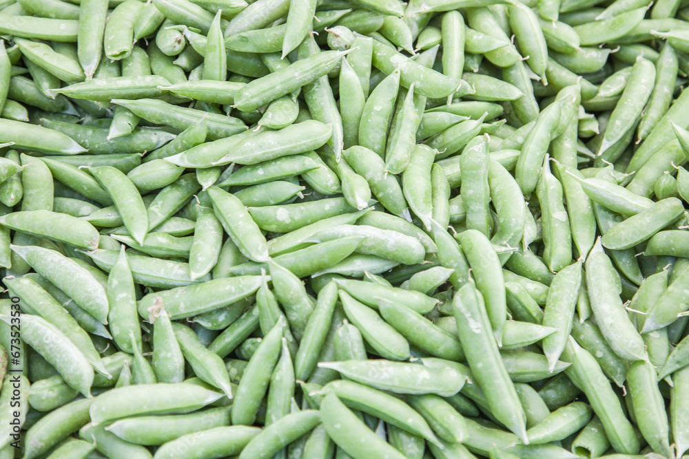 Freshly Picked Selection of Organic Green Beans on Display at the Farmers Market. Freshly Picked Selection of Organic Green Beans on Display at the Farmers Market.