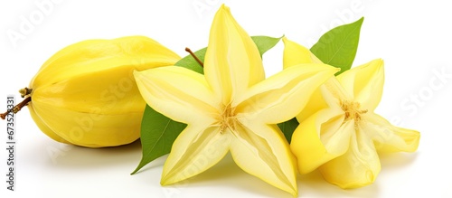 The fruit called Carambola specifically the Averrhoa carambola L variety can be seen on a white background