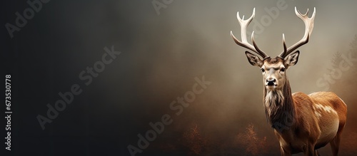 In the wide world deer stand out as stunning creatures photo