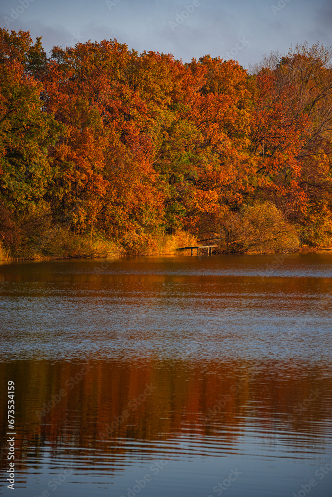 Herbstwald am See mit Reflektion im Wasser Herbstwald am See mit Reflektion im Wasser