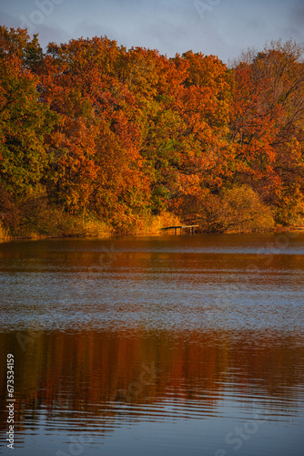 Herbstwald am See mit Reflektion im Wasser