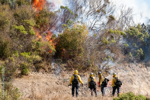 Firefighters Fighting Wildfire