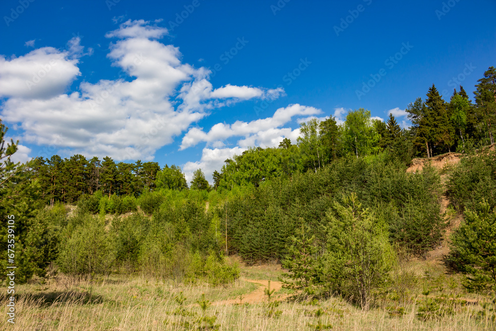 Picturesque landscape with a view of an overgrown old sand quarry