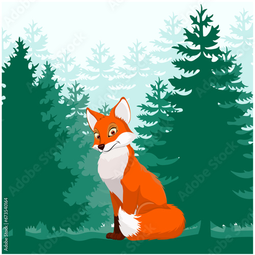 Red fox in a coniferous forest