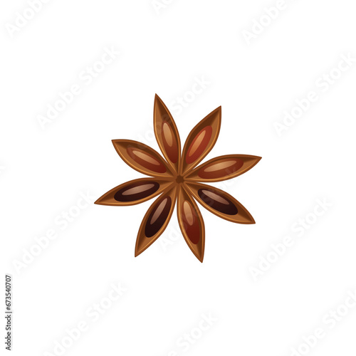 star anise isolated on white background