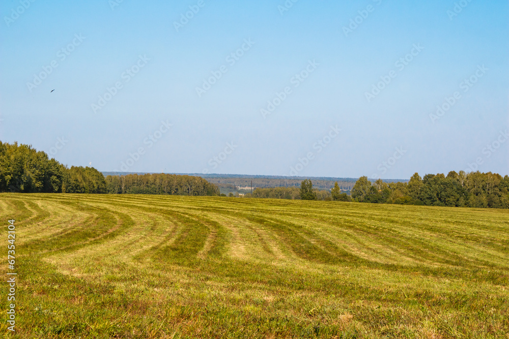 Large green agricultural field in the countryside after harvesting