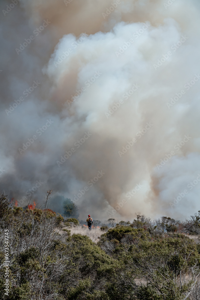Firefighter Fighting Wildfire Firefighter Fighting Wildfire
