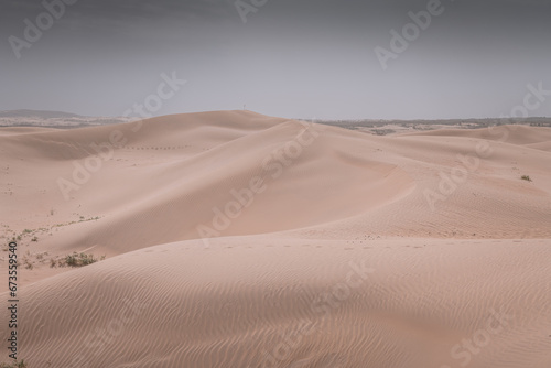 Sand dunes in the Gobi Desert in Inner Mongolia  China