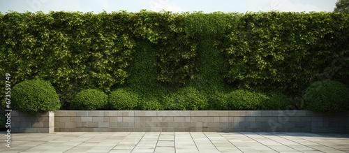Entryway lush hedges and wall for support
