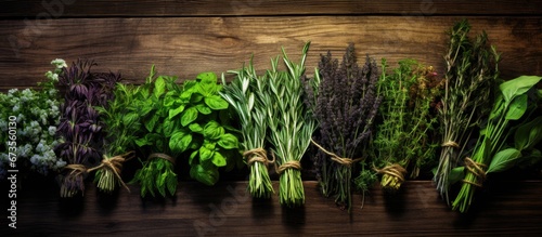 Herbs that have been collected and gathered captured in a visual representation
