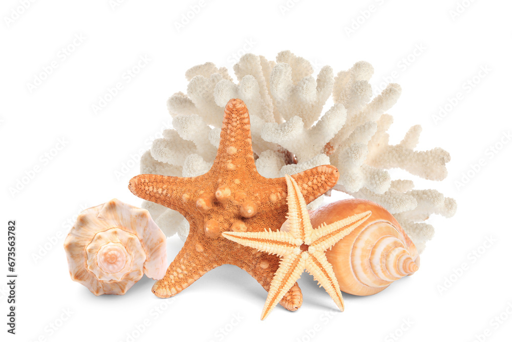 Sea stars, shells and coral isolated on white Sea stars, shells and coral isolated on white