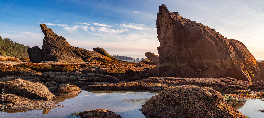 Obraz premium Rocky Shore on the West Coast of Pacific Ocean. Nature Background.