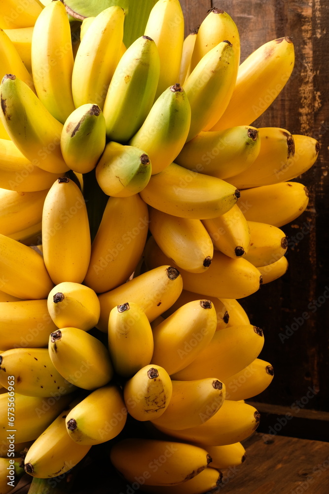 Lady Finger bananas are diploid cultivars of Musa acuminata. They are