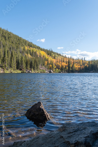 Fototapeta Naklejka Na Ścianę i Meble -  Looking across a mountain lake at the changing leaves of aspen trees in the afternoon sunlight on an autumn day. Rocks from the near shore are visible in the foreground. The lake is peaceful and calm.