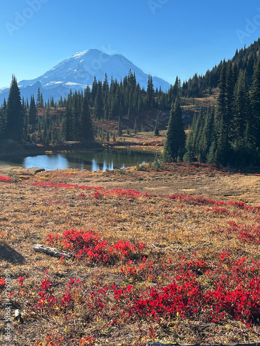 fall in the mountains