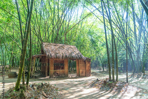 Temporary accommodation or hut in the green bamboo forest.