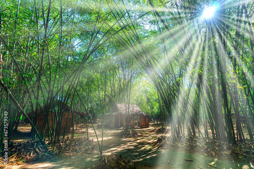 Temporary accommodation or hut in the green bamboo forest with ray of lights at Binh Duong, Vietnam.