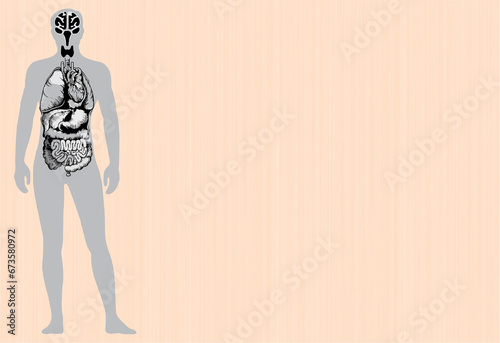 Human anatomy layout of internal organs. Copy space blank to add text poster for flyer. Medical education, pharmaceutical marketing theme in high HD resolution.