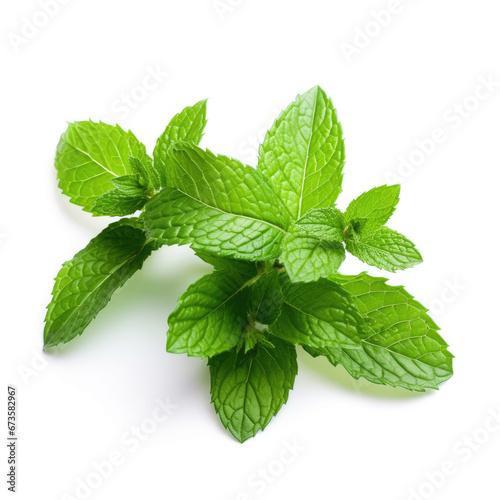 Fresh green mint leaves isolated on white