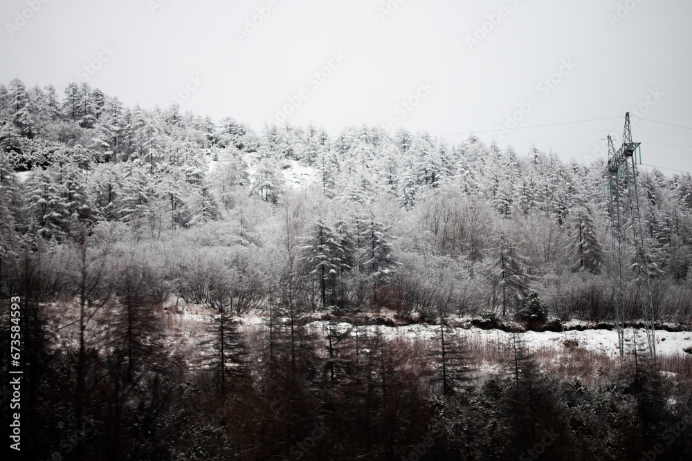 Fototapeta premium Photo of the winter forest during the snowfall in Magadan, Russia. Snow showers on the trees and hills. Fog and haze, low visibility due to snowstorm. Extreme weather conditions