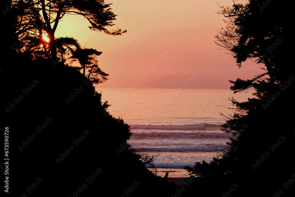 Sunset Over the Ocean Through the Trees 