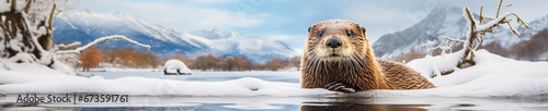A Banner Photo of an Otter in a Winter Setting photo