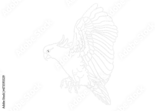 Illustrator Of A Parrot - Cockatoo - kakatua illustration - white line art