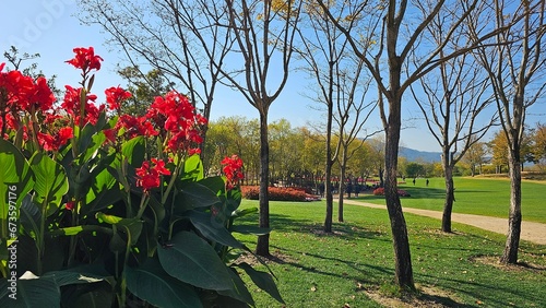 한국의 화단