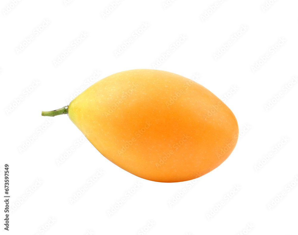 Sweet Marian Plum. Tropical fruit, Mayongchid on transparent png