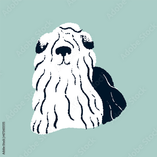 Cute fluffy puppy. Canine breed with funny muzzle. Old English sheepdog, lovely shepherd dog, bobtail doggy. Herding purebred pup. Stylized domestic animal, pet. Flat isolated vector illustration photo