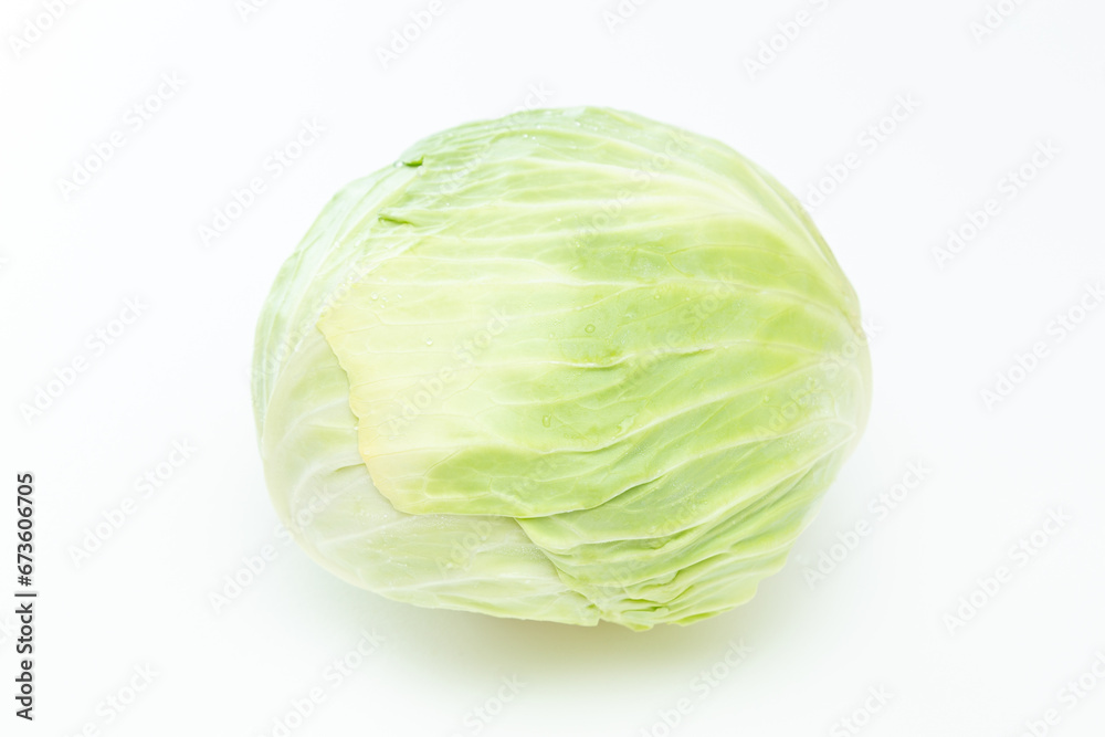 白背景にキャベツ 白背景にキャベツ