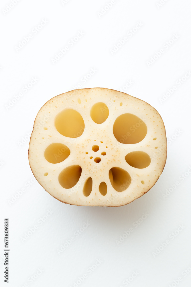 Obraz premium 白背景にレンコン