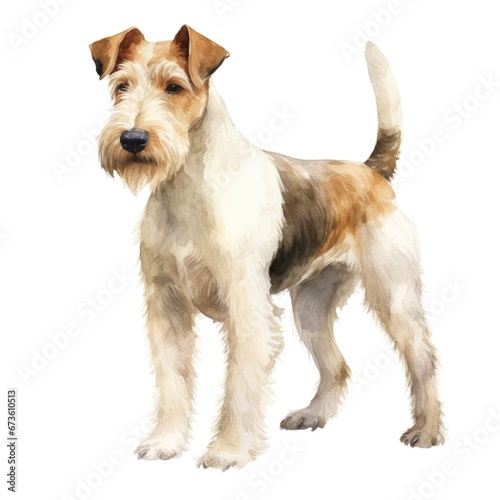 Wire Fox Terrier dog breed watercolor illustration. Cute pet drawing isolated on white background. photo