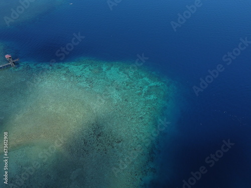 Tranquil Underwater Scenery: Peaceful Marine Life in Clear Blue Ocean in maluku