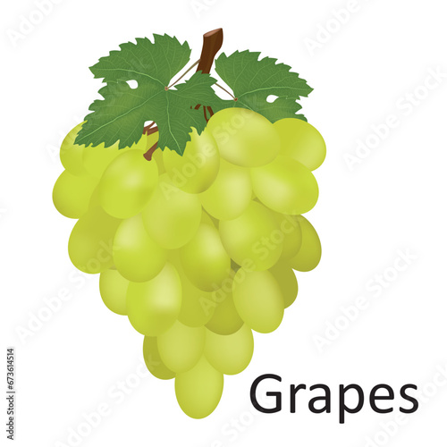 Grapes fruit isolated on white background.