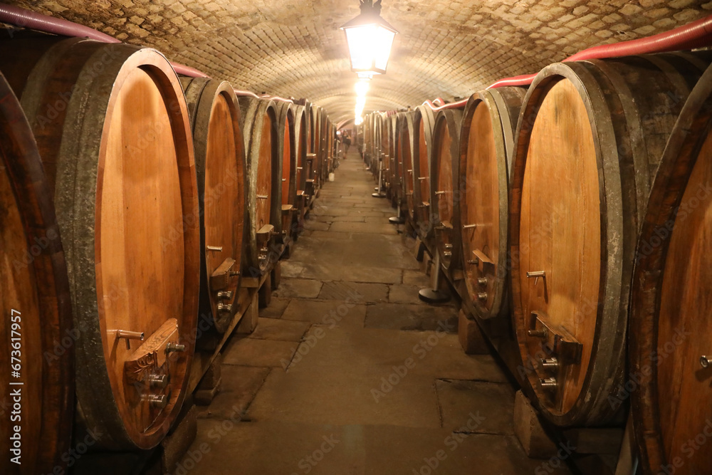 wooden barrels to age the wine underground in a humidity-controlled cooperative cellar