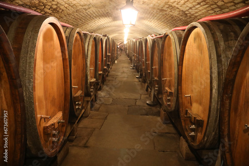 wooden barrels to age the wine underground in a humidity-controlled cooperative cellar photo