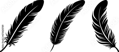 feathers black bird feather silhouette logo vector set photo