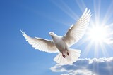 Majestic white bird soaring through a vibrant blue sky