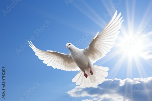 Majestic white bird soaring through a vibrant blue sky