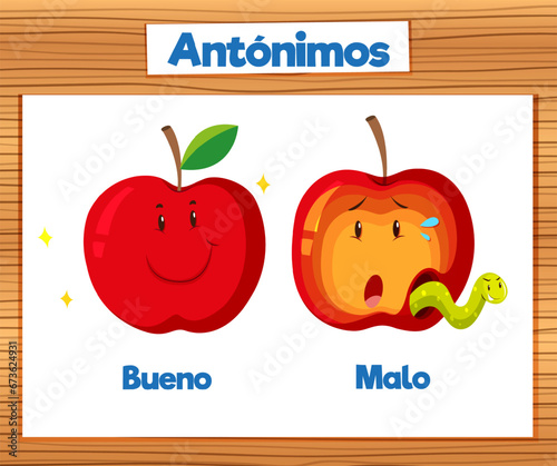 Educational Antonyms Spanish Picture Word Card good and bad