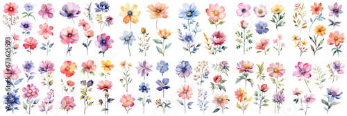 A Big watercolor floral package collection. Use by fabric, fashion, wedding invitation, template, poster, romance, greeting, spring, bouquet, pattern, decoration and textile.	