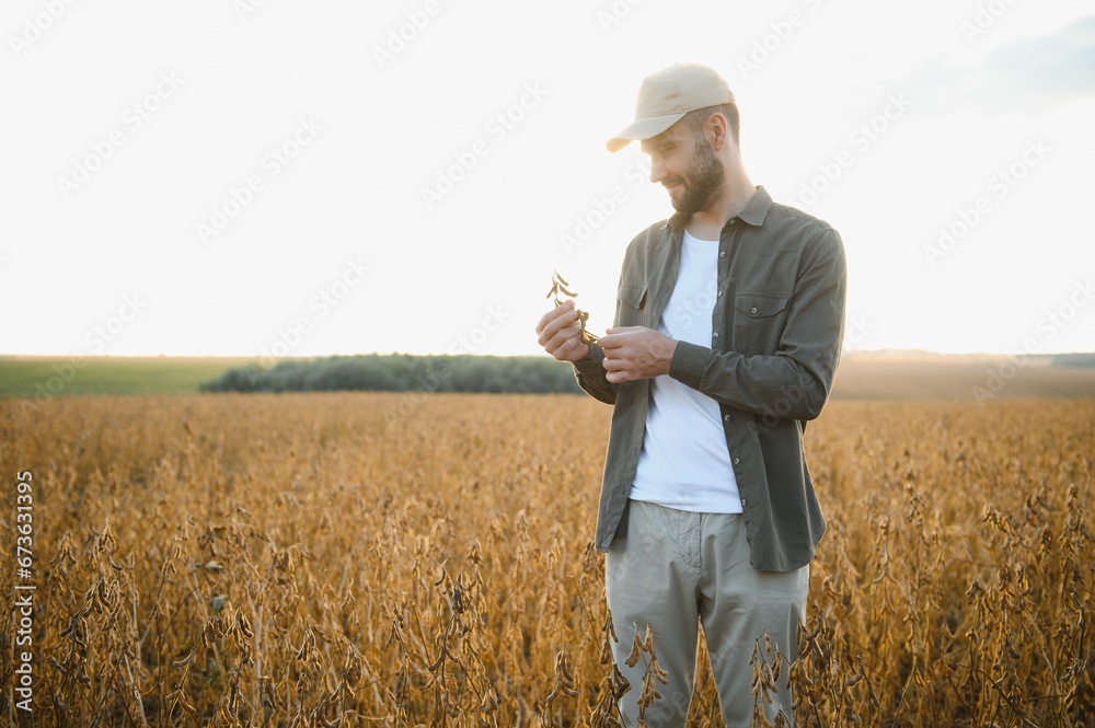 Farmer agronomist on a soybean field. Agricultural industry. Farmer agronomist on a soybean field. Agricultural industry.