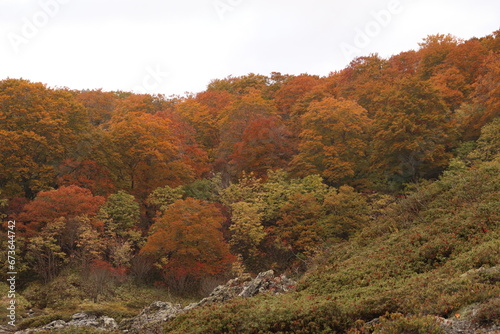 青森県下北半島、霊場恐山。紅葉に染まる山。