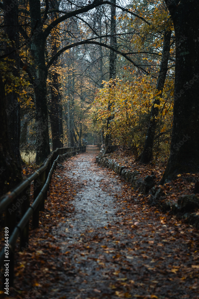 Moody blue hour atmosphere in the forest during a rainy autumnal day at Lake Cei, in the Northern Italy Moody blue hour atmosphere in the forest during a rainy autumnal day at Lake Cei, in the Northern Italy