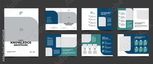 business company profile multipurpose brochure template with blue geometric premium shape illustrator vector  photo