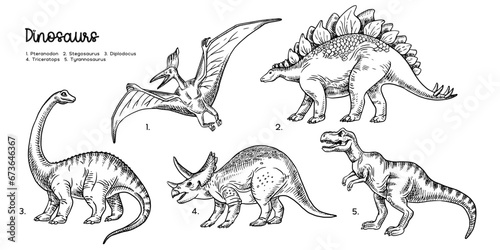 Fototapeta Naklejka Na Ścianę i Meble -  Hand drawn sketch dinosaurs set. Vector isolated illustration