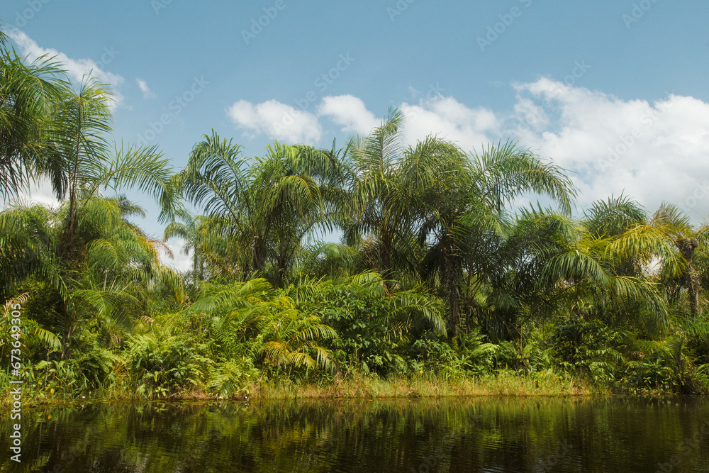 Beautiful view of the Black River Beautiful view of the Black River