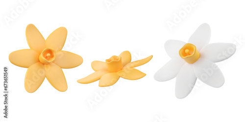 3d plasticine narcissus buds set. Daffodil flower render, decorative floral elements in clay material. Vector illustration in plastic style. Simple volumetric crafts. Isolated objects